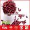 Wholesale red kidney beans with high quality