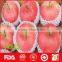 China Hot Sale Fresh Sweet Fuji Apple Fruit