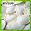 Snow white pumpkin seeds grede A seeds for sale