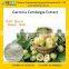 GMP manufacturer supply high quality and natural Garcinia Cambogia Extract Powder 50% 60% HCA