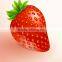 healthy and delicious strawberry chocolate snack food65