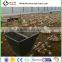 hot sale broiler breeder chicken poultry breeding houses