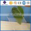 Grade A polycarbonate transparent sheet