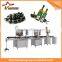 Best quality olive oil extraction machine olive oil cold press machine mini olive oil press machine
