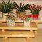 Indoor wooden flower stand