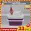 Rotomolded small milk cooler box
