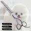 High quality stainless steel and professional pet groming scissors