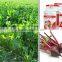 Baking Yeast Instant Dry Yeast Manufacturers