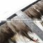 Fashion feather hair accessory rooster tail feathers trim for sale cheap
