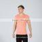 The factory price popular summer hot style sportswear fitness custom logo mens seamless short sleeve t shirt
