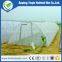 Plastic Anti Insect Net