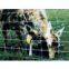 Knotted Wire Fence