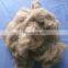 yak wool manufacturer, dehaired Tibet yak wool brown 19.0mic 26mm