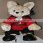 Football Teddy Bears Plush Toy Parade Notre Stuffed 10" teddy bear in U.S. Air Force Air Battle Military Uniform ABU