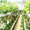 Low Price Garden Greenhouse/Agricultural Greenhouse Tube Hydroponic Growing Systems