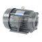 Factory Direct Sale Inner Shaft Three-phase Vertical Motor H-3HP-4-L-A