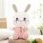 High Quality Lovely Colorful Cute Rabbit For Kids Plush Toys