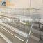 layer egg chicken cage poultry farm house design