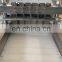 Industrial Beef Dicer Diced Meat Cold Cutting Machine Automatic Meat Jerky Slicer