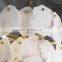 Nordic Decorative Alabaster Pendant Light LED Brass Gold Hanging Lighting Chandelier