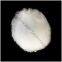 Monoammonium Phosphate White Powder Phosphate Fertilizer MAP P2O5 61%Min