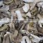 porcini dried mushroom