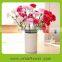 Reasonable price promotional hotel garden floral carnation