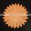 Craft & DIY paper sun flower petals