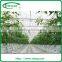 2014 Hot Sale Greenhouse Heating Pipes