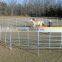 Steel galvanized Animal enclosures / Portable corral yards