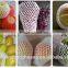 FDA Approval Food Grade Free Sample EPE Foam Elastic Vegetable Mesh Net