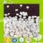 White Masterbatch for PP/PE/HDPE