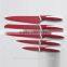 CY01-C 6pcs Stainless Steel Kitchen Knife Sets