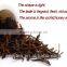 Organic black Tea with organic tea private label
