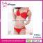 2014 New Stylish Bra And Panty Set Women Underwear Set
