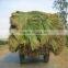 Seagrass Raw Material - QQ : 2598494113