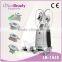 Vertical 2016 Most Popular 4 In 1 Stand Cryolipolysis Machine Cryolipolysis Slimming Machine Body Contouring