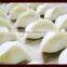 restaurant stainless steel automatic steamed dumpling stuffing machine/momo making maker/ spring roll machine