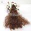 25cm Doll Hair Extension Curly Hair Piece