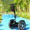 Powerful Outdoor battery power E Mobility 2 wheel stand up trike electric scooter