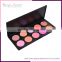 hot sale private label 10 colors blush palette