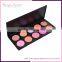 2016 Hot waterproof Blusher 10 in 1 Cosmetics Make up Blush Makeup Powder Blusher Palette