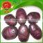 high quality fresh yellow potato on sale