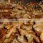 Fresh Ginger and Best price