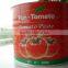 Distributing tomato paste with bright red color and rich and high concentrated flavor