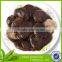 fujian canned shiitake slice