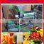 fruit juicer machine