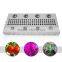 Hot Sale Led Grow Light Warm White Cr Ee Cxb3590 1200W Led Grow Light