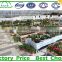 High Tech Multi Span Poly Film Agricultural Commercial Greenhouse for sale