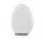 High grade toilet lid, toilet lid, thickening